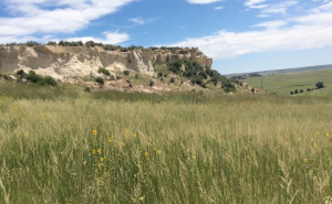 Serene prairie with a mesa in the distance